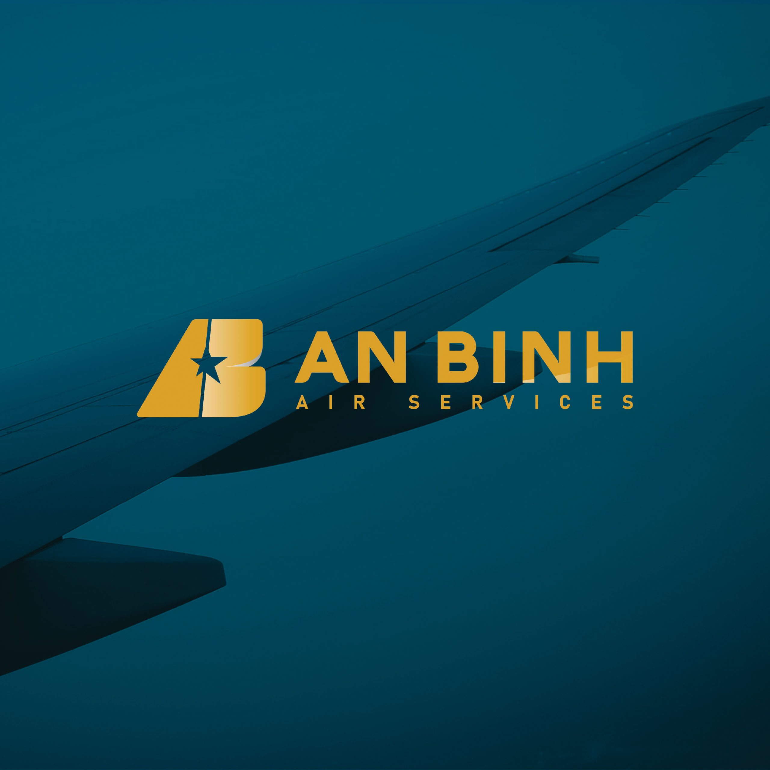 anbinh showcase