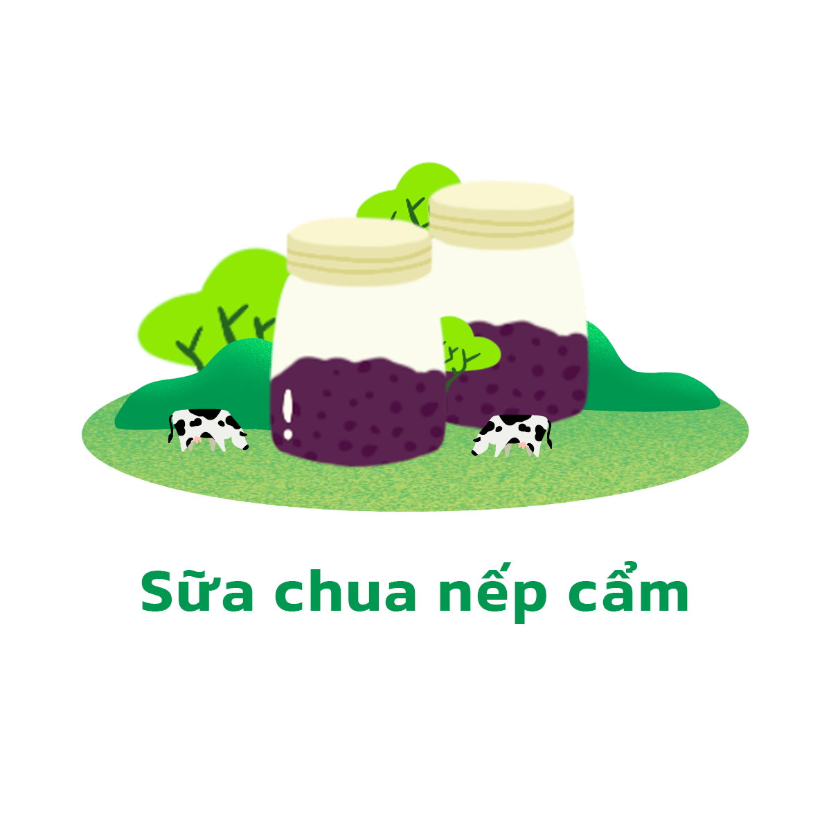 3.3 Nếp cẩm