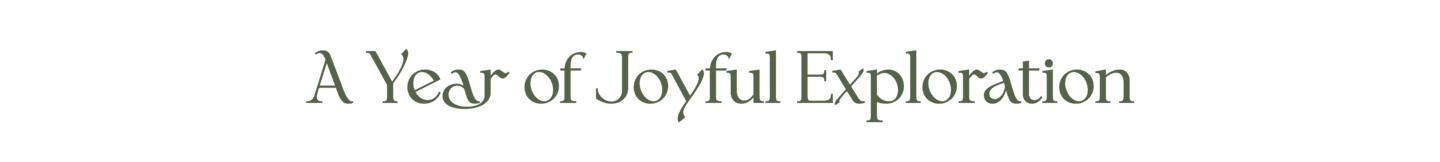 Showcase Nhà Gạo-12